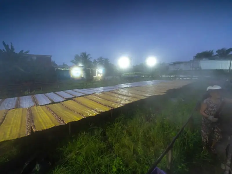Éclairage solaire agricole